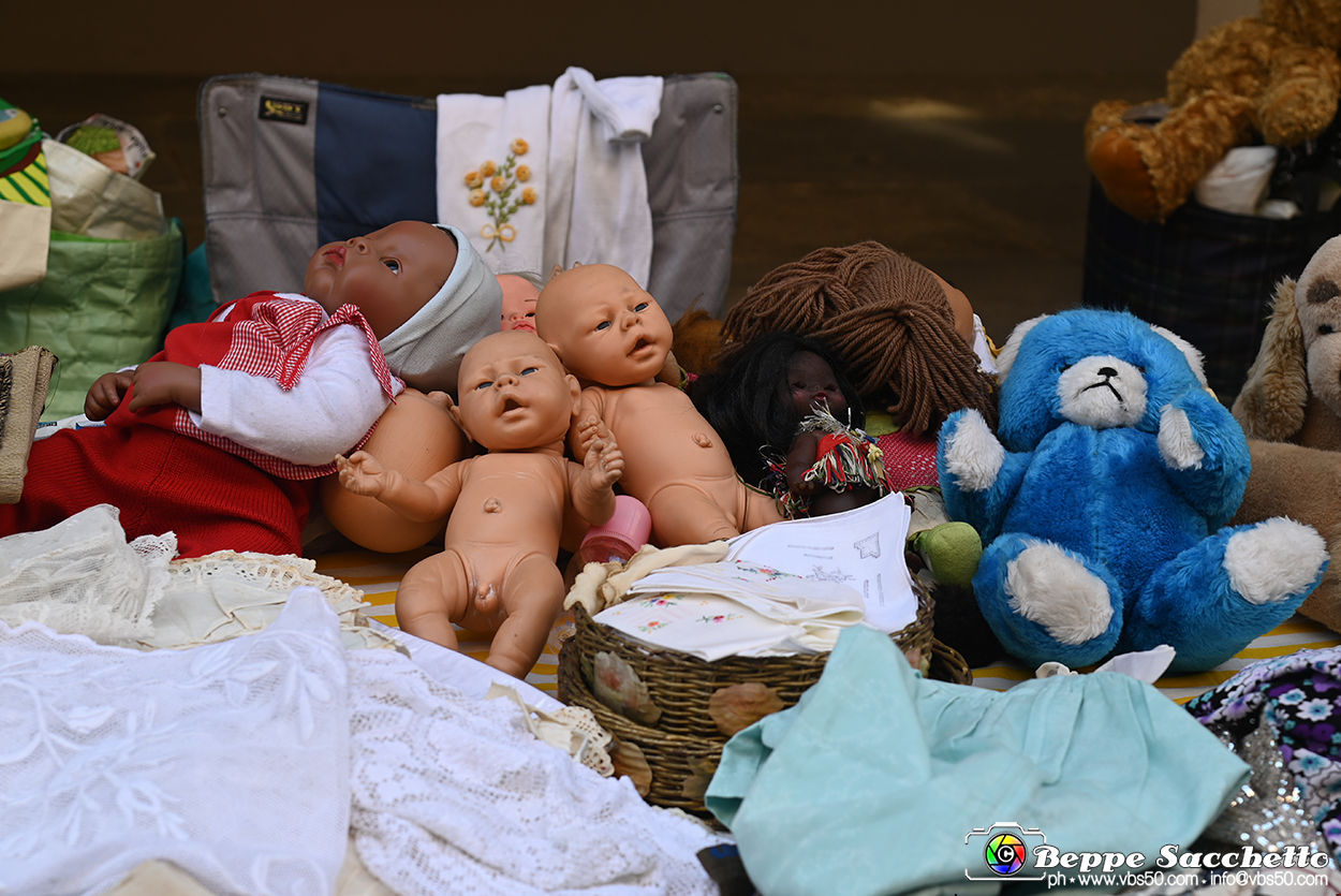 VBS_3184 - Mercatino dell'Antiquariato - Giugno 2026.jpg